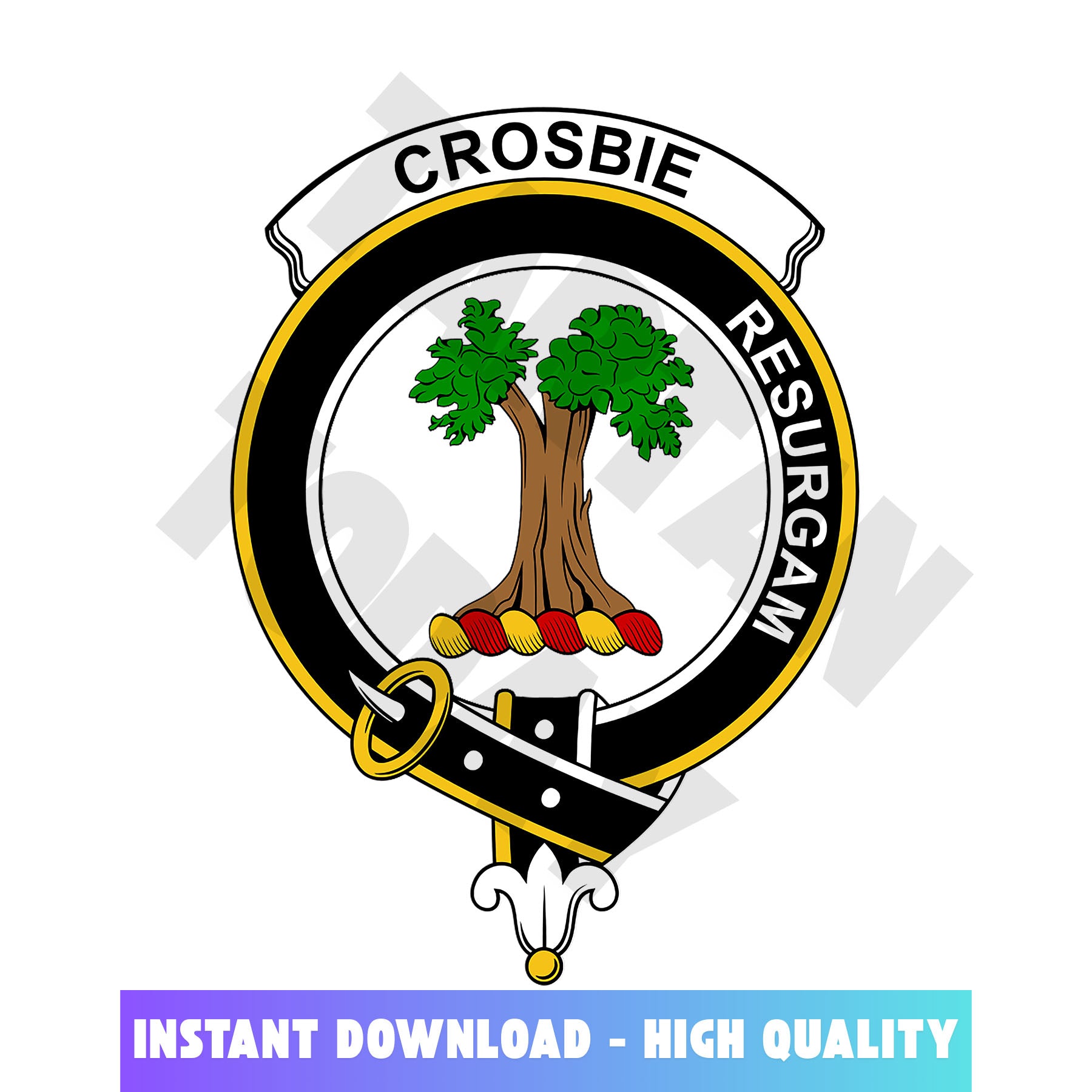 Clan Crosbie (or Crosby) Tartan Crest, Badges, Heraldry, Clans, Family Scotland PNG, Digital ClipArt High Quality YF14 Crosbie (or Crosby) Tartan Tartan Today