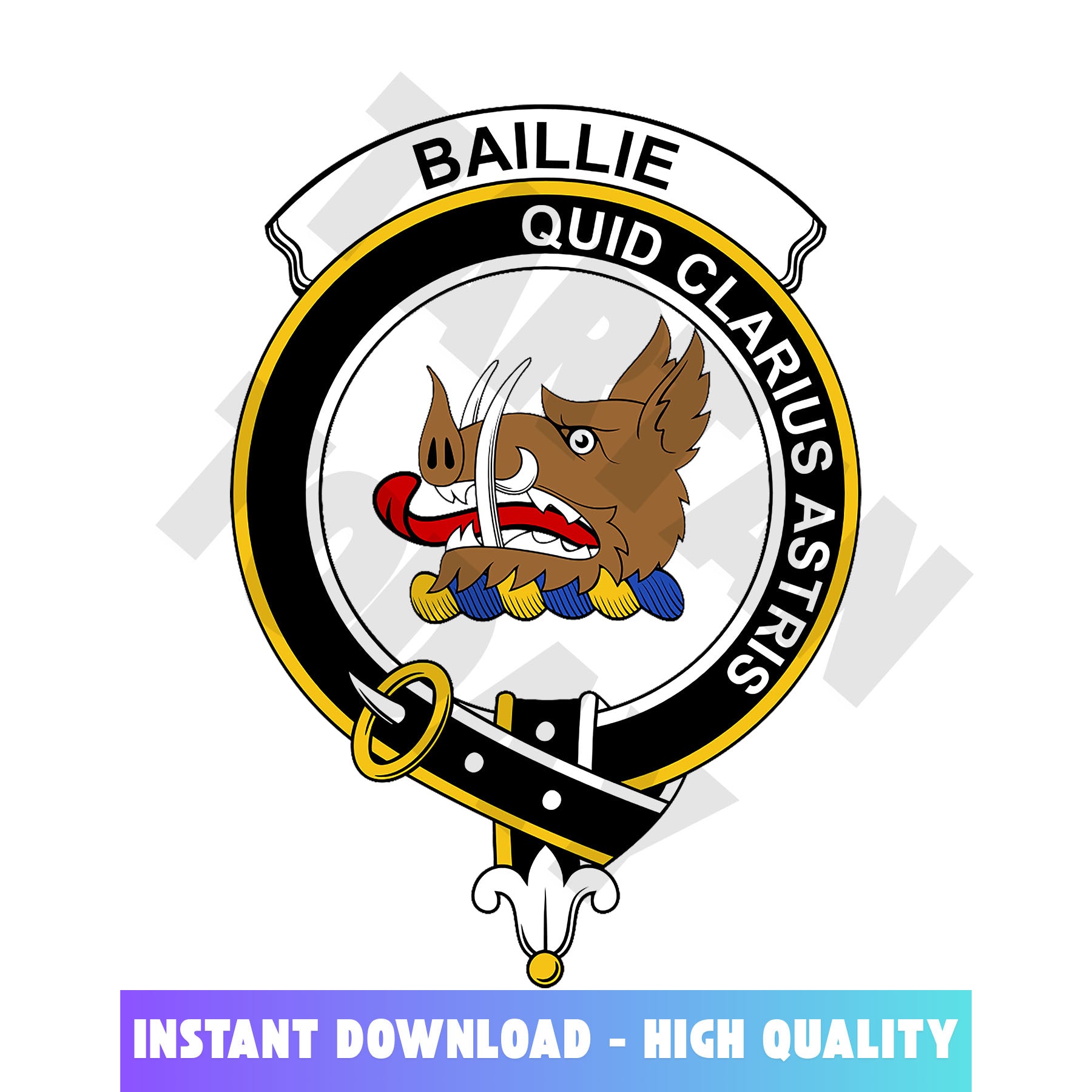 Clan Baillie Tartan Crest, Badges, Heraldry, Clans, Family Scotland PNG, Digital ClipArt High Quality MF35 Baillie Tartan Tartan Today